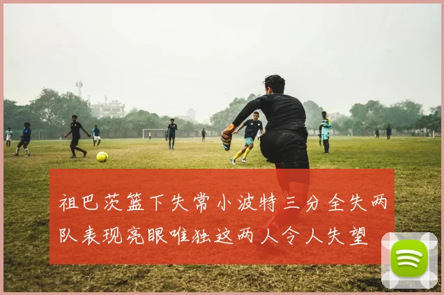 祖巴茨篮下失常小波特三分全失两队表现亮眼唯独这两人令人失望