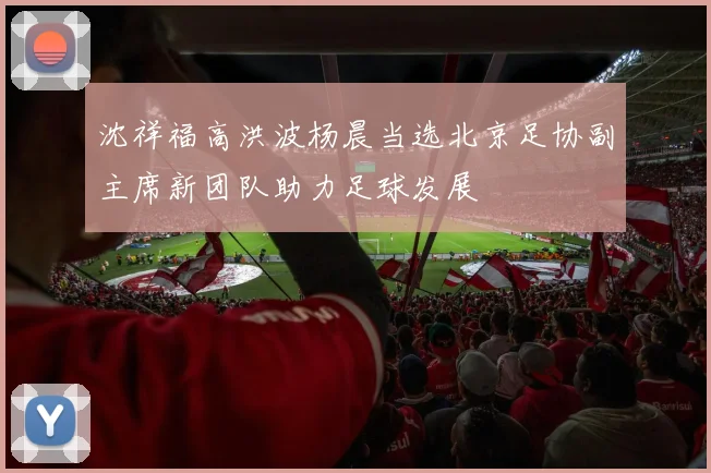 沈祥福高洪波杨晨当选北京足协副主席新团队助力足球发展