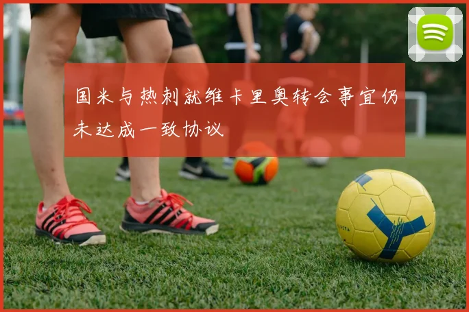 国米与热刺就维卡里奥转会事宜仍未达成一致协议